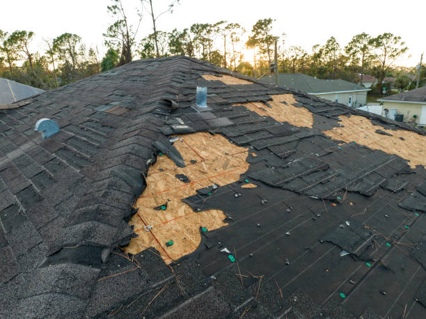 Professional Roofing Service in Paul, ID