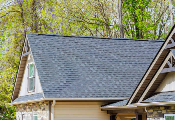 Best Roof Leak Repair  in Paul, ID